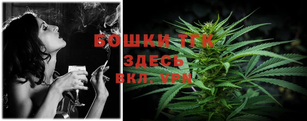 дмт Белая Холуница