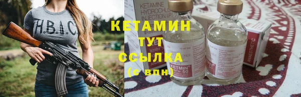 гидра Кодинск