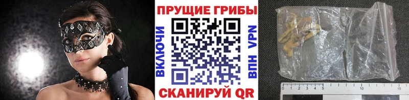 Галлюциногенные грибы GOLDEN TEACHER  Купить где  Бутурлиновка 